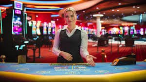 shio88 login platform interface showing live casino tables and sportsbook